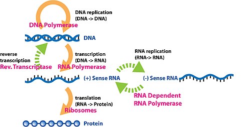 molecular biology